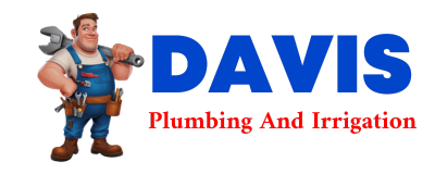 Trusted plumber in CUMMING